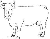 Корова рисунок карандашом для детей - 83 фото